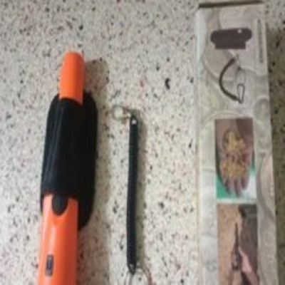 El Dedektorü Pointer